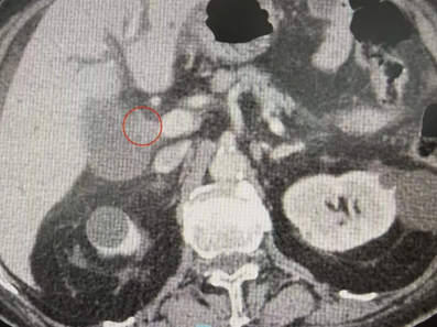 wechat_2025-12-08_142141_888.png wechat_2025-12-08_142141_888.png